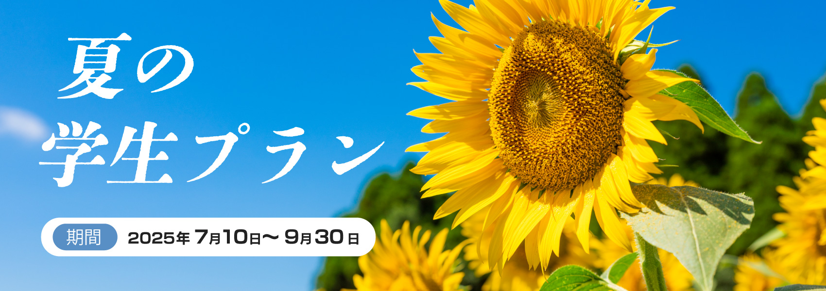 学生キャンペーン
